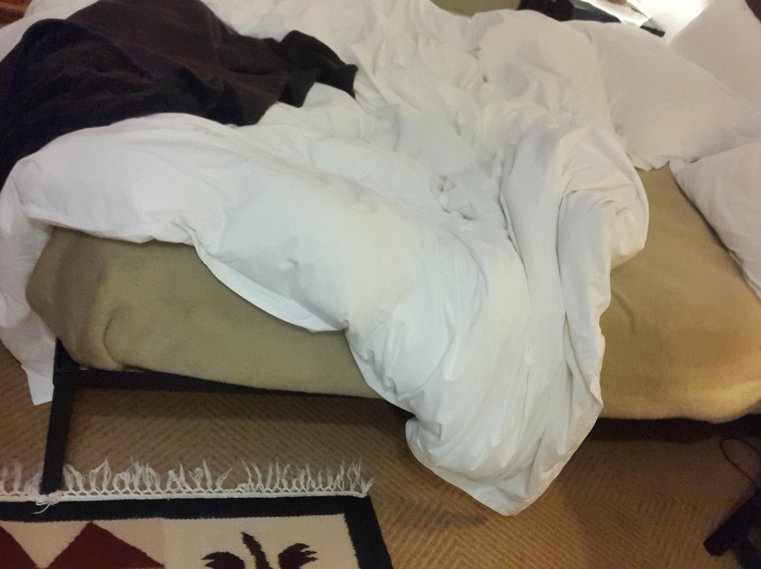 Big Tree B & B主图