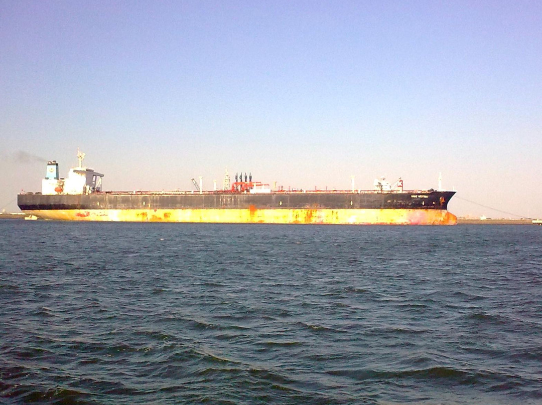 Fast Ferry harbour tours景点图片