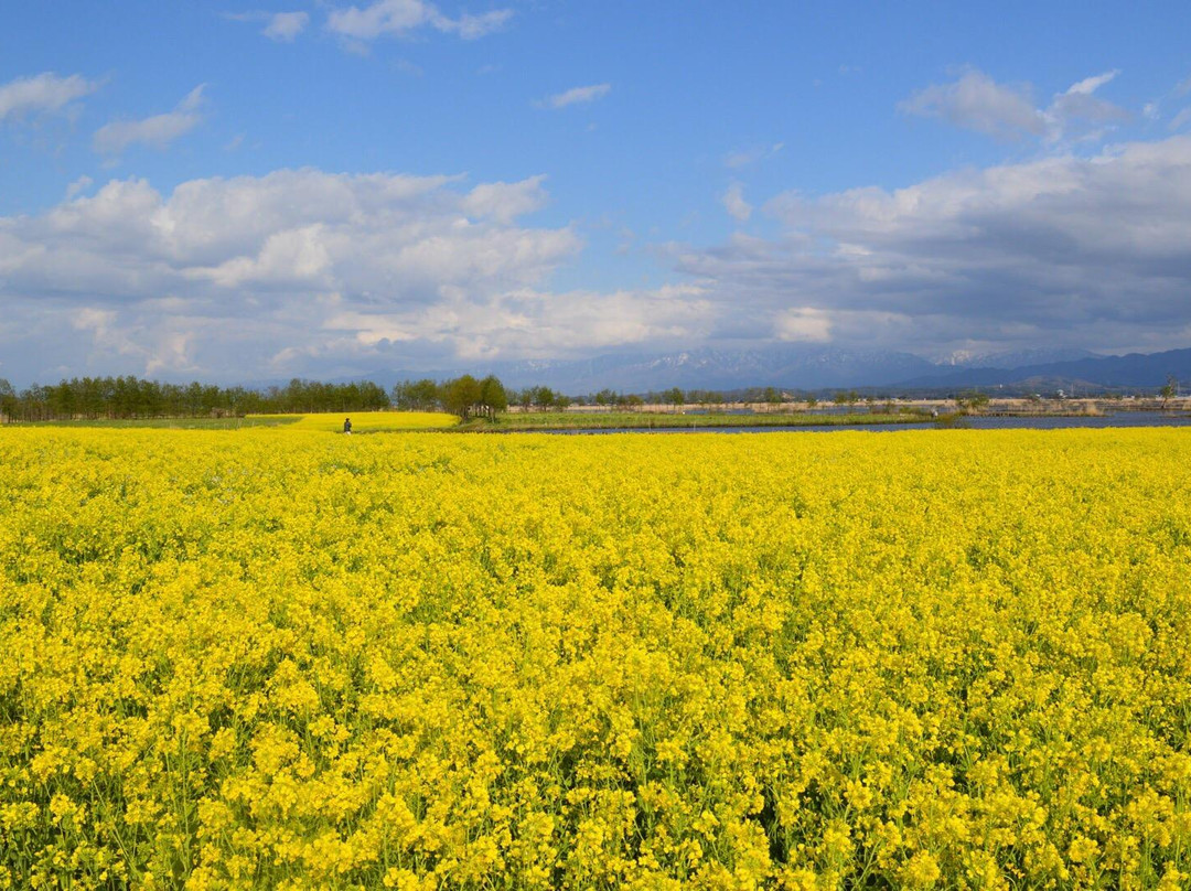 Fukushimagata景点图片