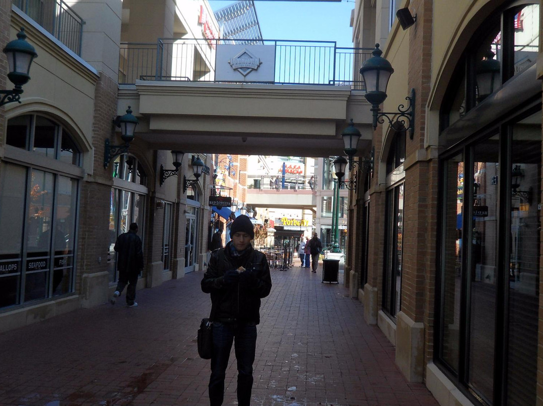 Downtown Silver Spring-银泉必去景点