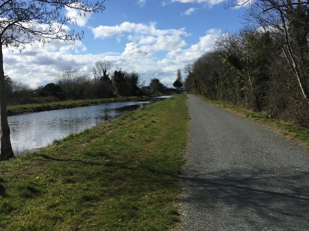 Grand Canal-Edenderry必去景点
