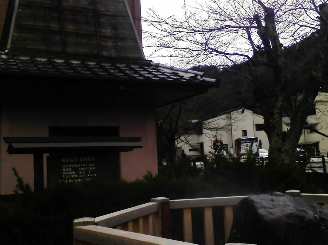 Yakushi Park Pocket Park-丰冈市必去景点