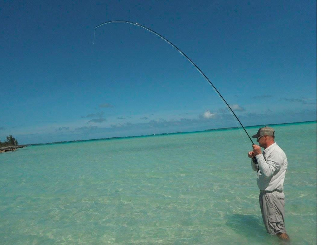 Coco Loba Tours-伊柳塞拉必去景点
