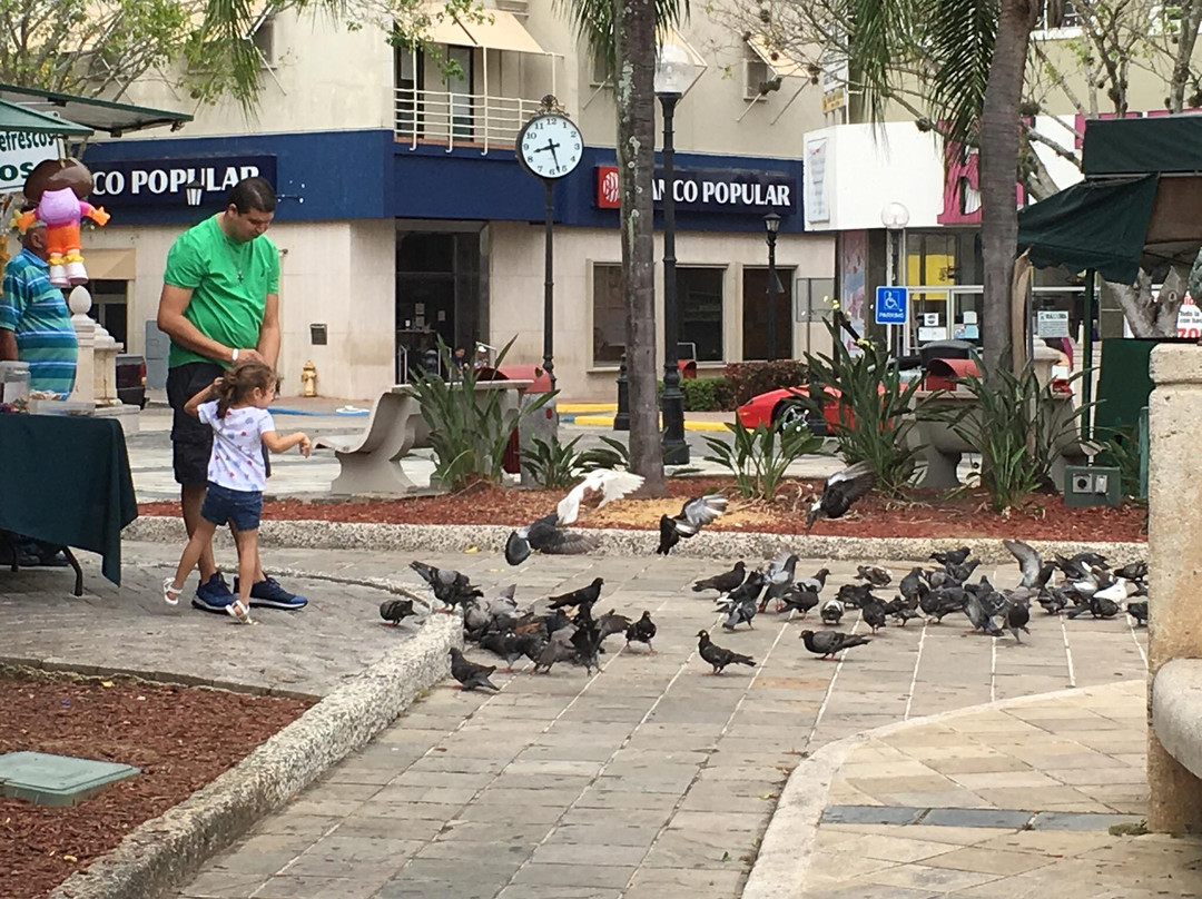 Plaza Palmer-Caguas必去景点