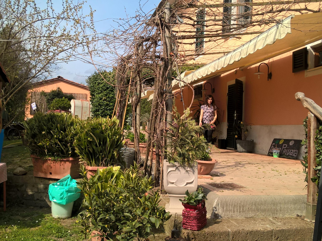 Frattoria Cercatoia Alta
