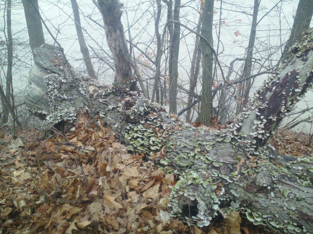 Van Buren State Park-Van Buren必去景点