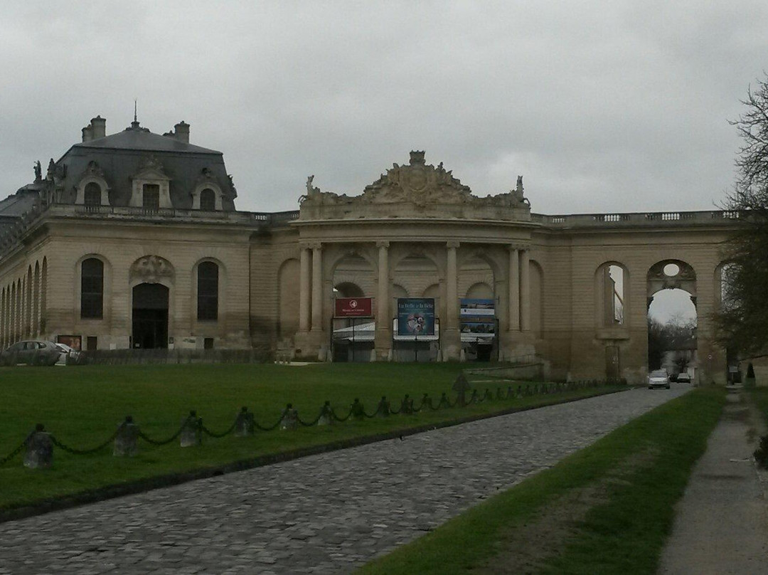 Musée Vivant du Cheval景点图片