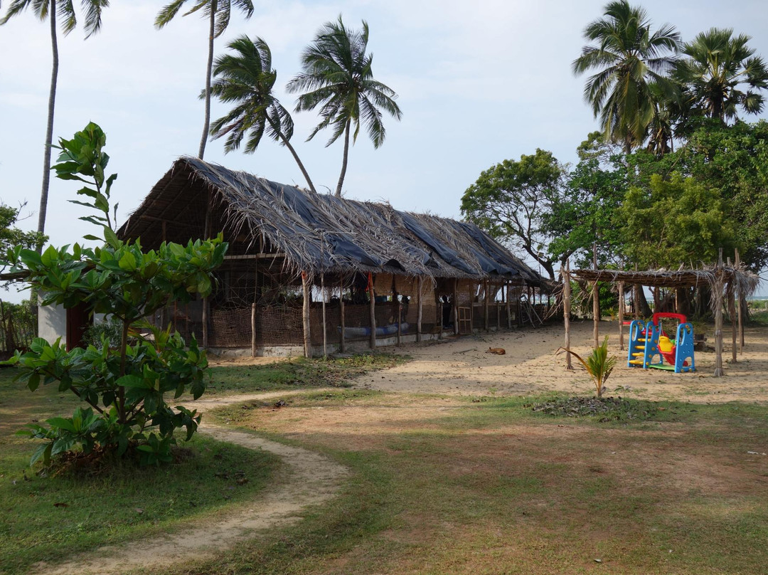 Kandakuliya旅游攻略图片