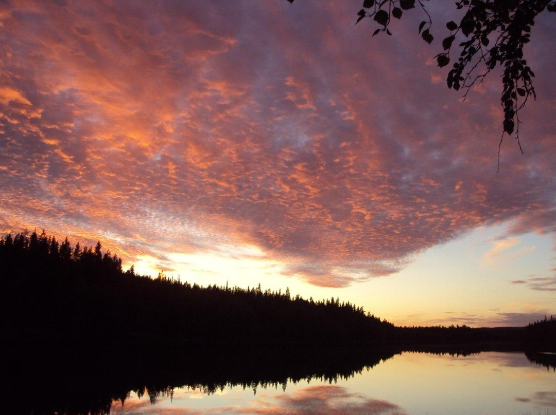 Paanajarvi National Park景点图片