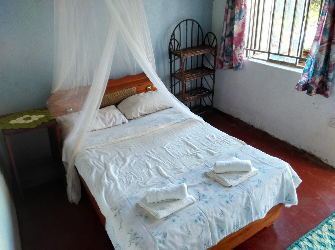 Afrirhythm Backpackers