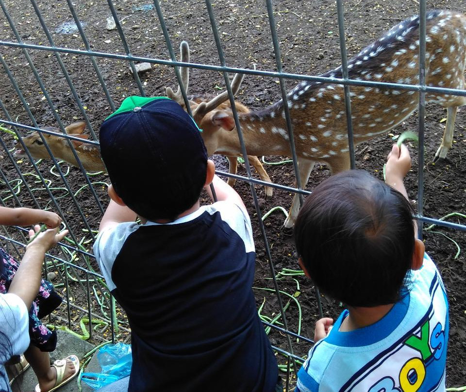 Wonorejo Nursery-泗水必去景点