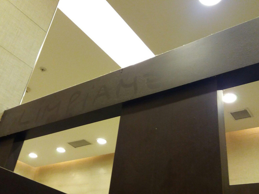 Mall Plaza Trebol-康塞普西翁必去景点