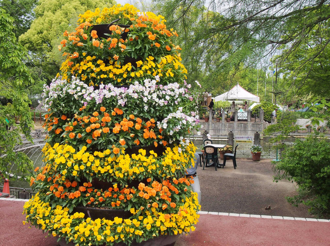 Osaka Prefecture Flower Garden-河内长野市必去景点
