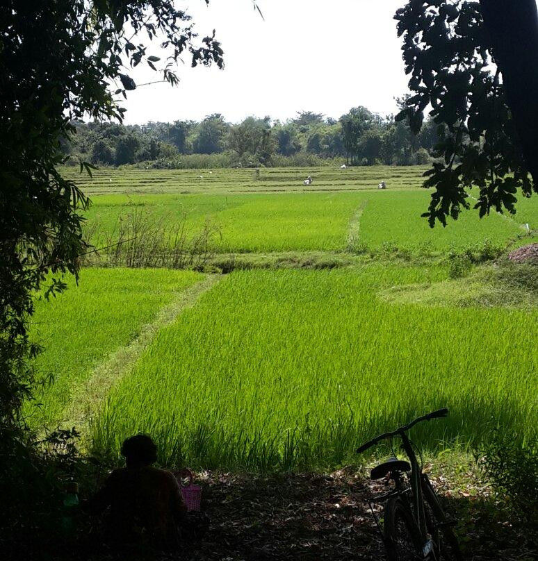 Koh Paen Island-磅湛必去景点