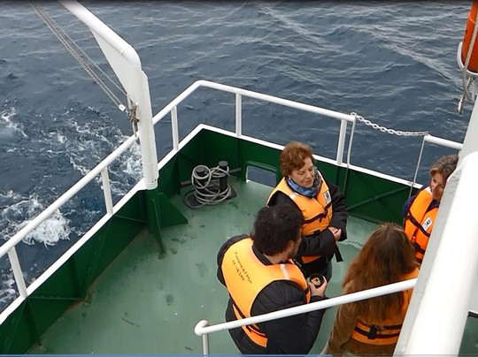 Pionero del Lago-巴拉斯港必去景点