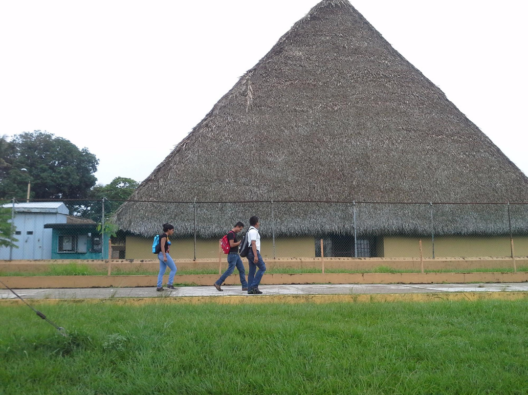 Zona Arqueologica La Venta景点图片