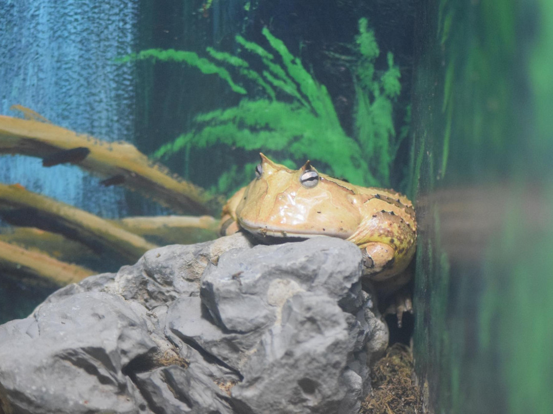 Eco Parkland Zoo-咸平郡必去景点