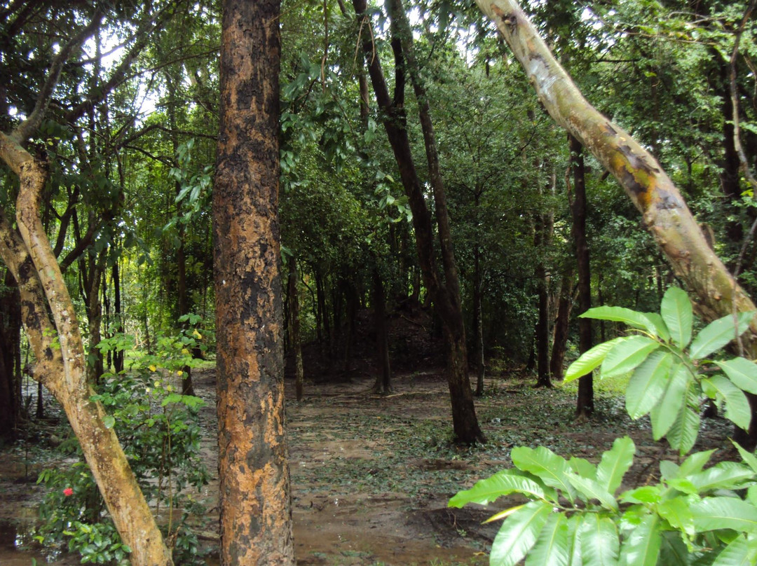 Sobha Botanical Garden-Phe必去景点
