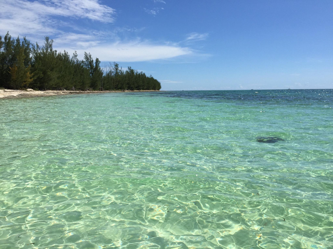 Treasure Reef-弗里波特必去景点