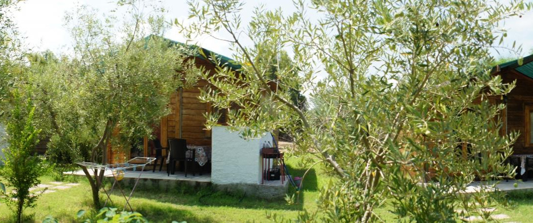 Sorso酒店住宿-Agriturismo Tres Montes