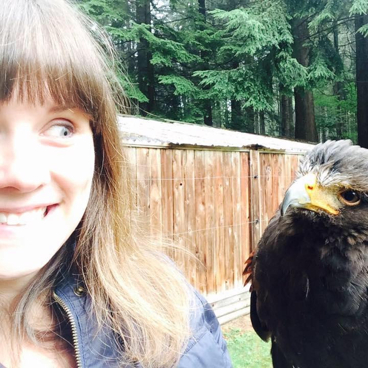 Raptors Ridge-枫树岭必去景点