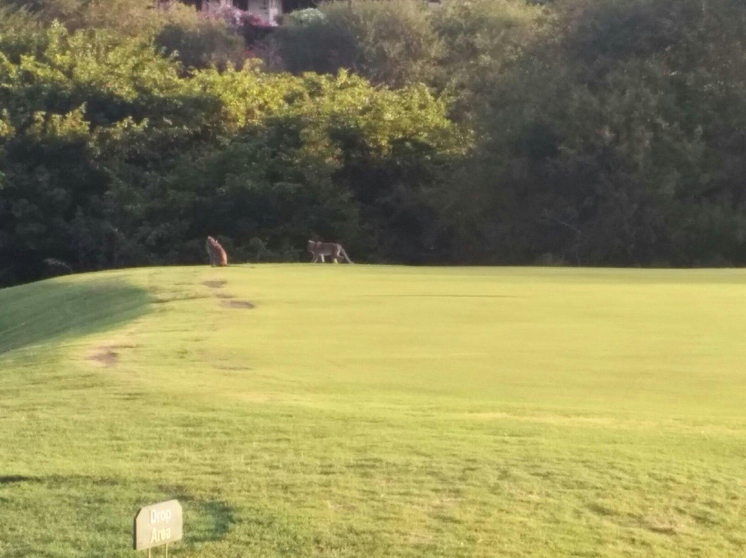 Tamarina Golf Club - Mauritius-塔玛琳必去景点
