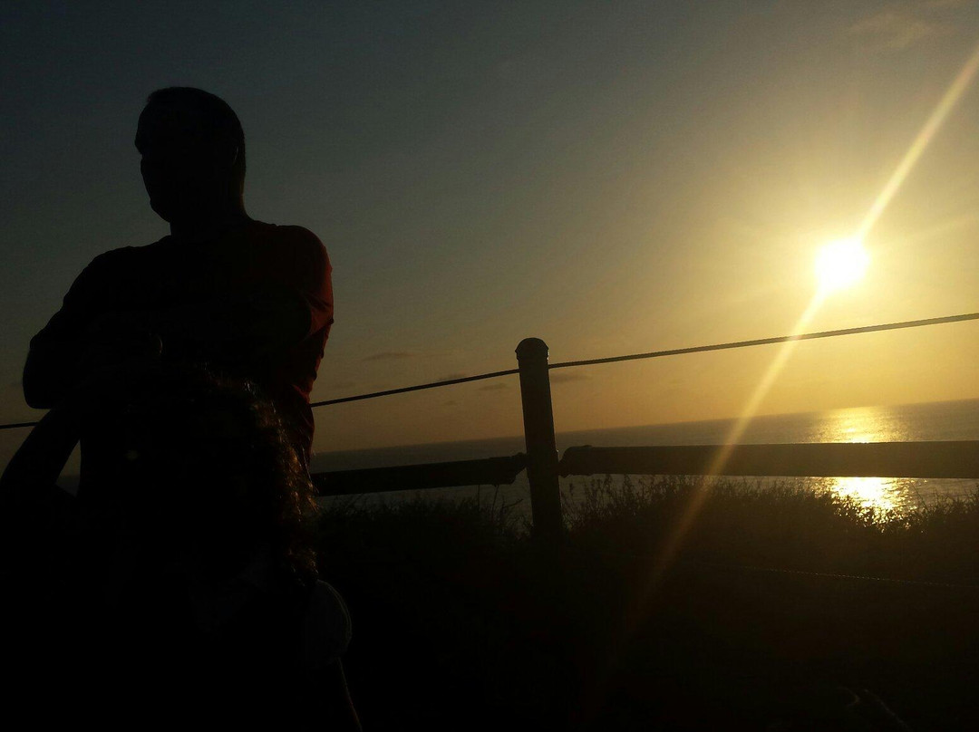 Dana Point Nature Interpretive Center-德纳角必去景点