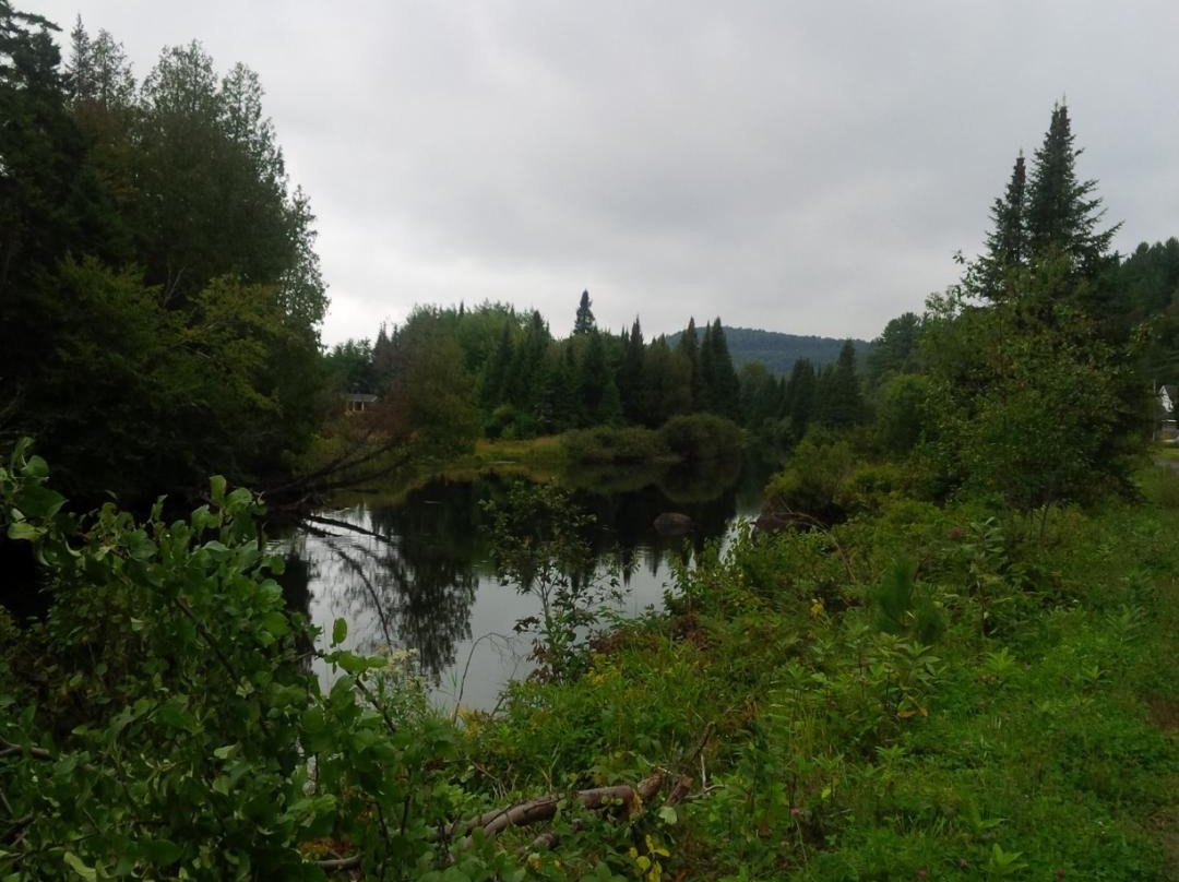 Val David酒店住宿-Gite Cafe Plumard