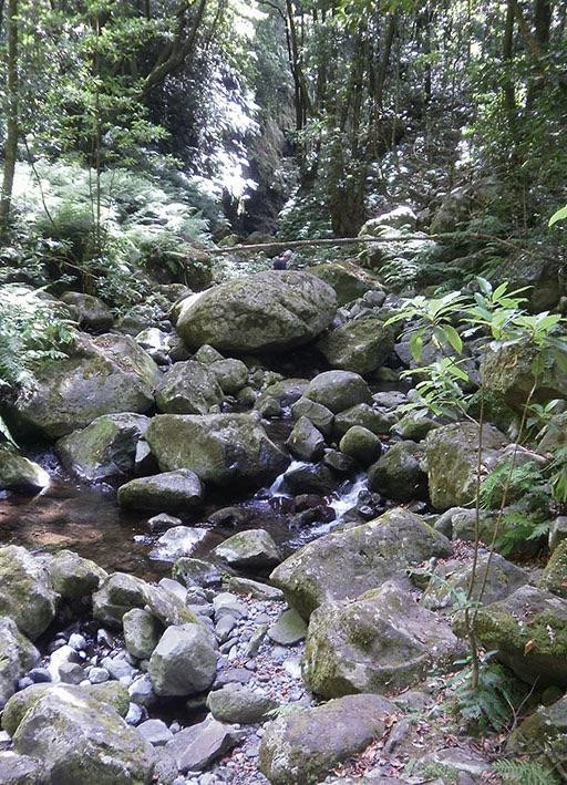 Levada Do Reí-Sao Jorge必去景点