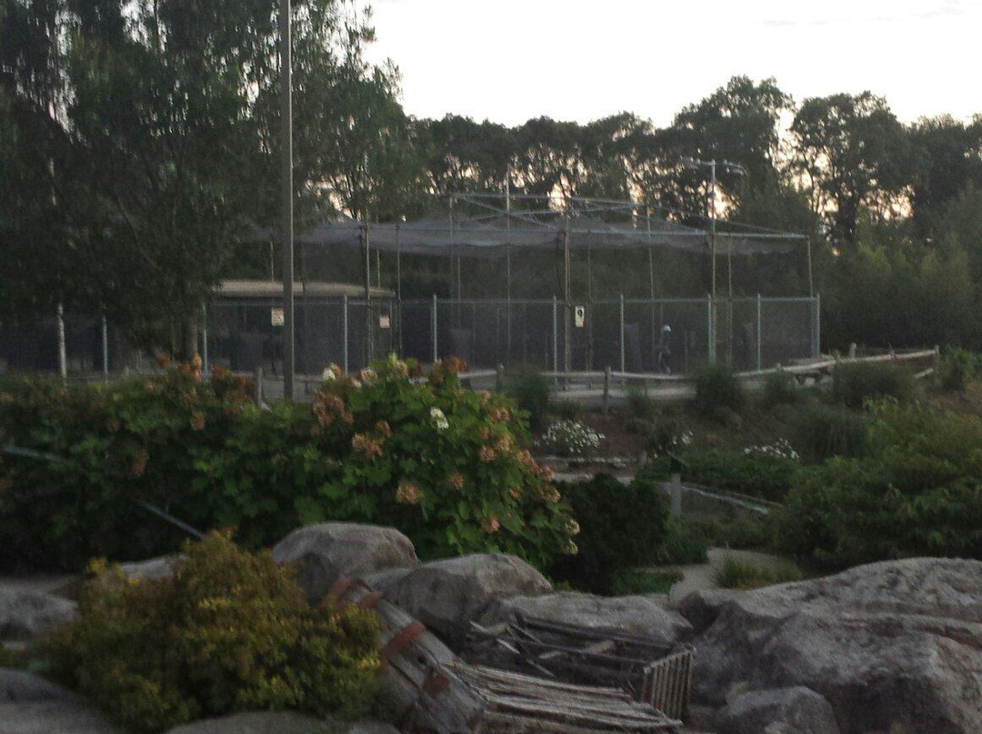 Mulligan's Island Golf & Entertainment-克兰斯顿必去景点