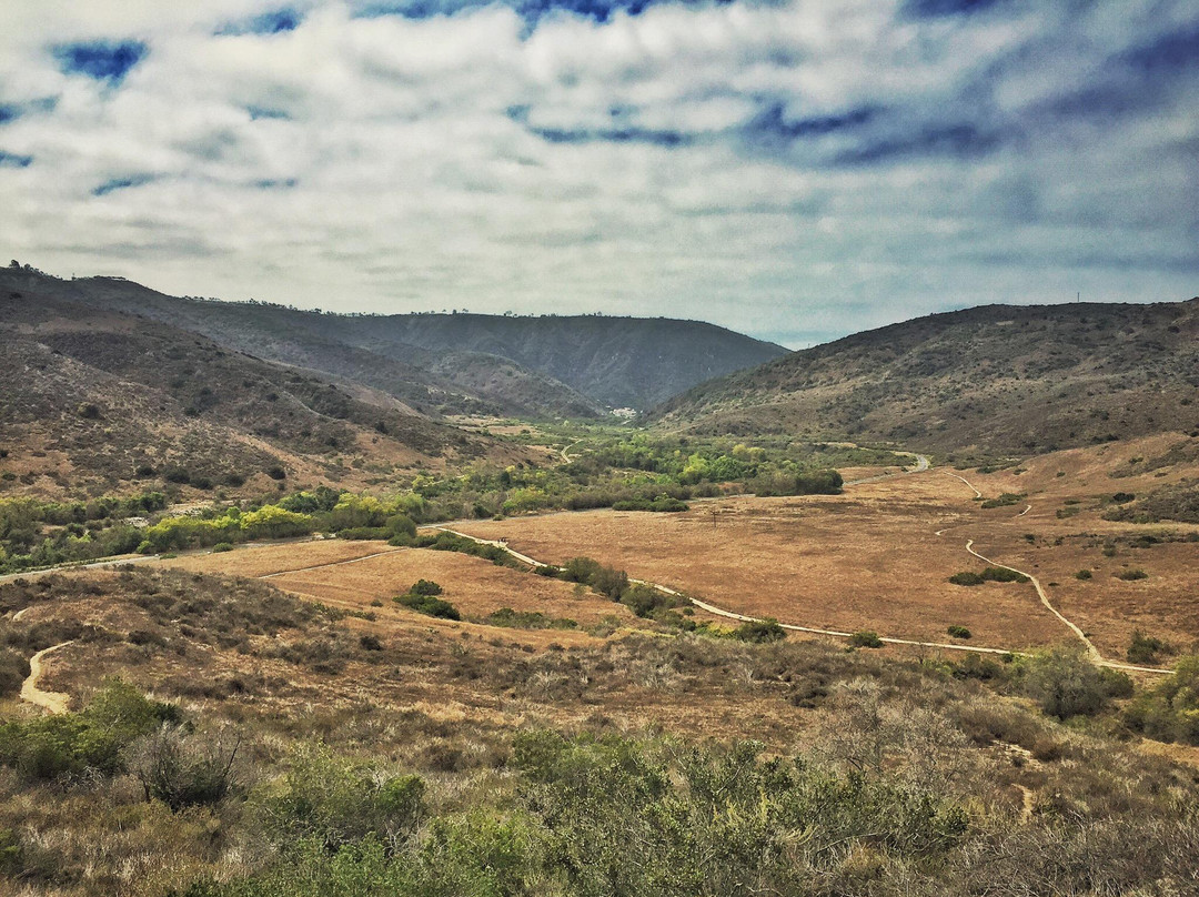 Aliso & Wood Canyons Wilderness Park-拉古纳尼格必去景点