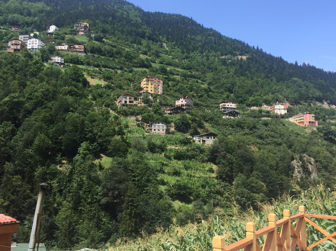 Uzungol Taskiran Ela Hotel主图