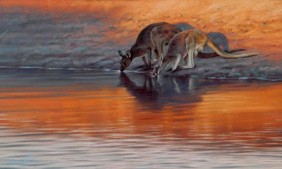 Steve Morvell Wildlife Art-贺思盖必去景点