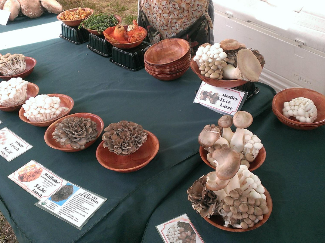 Leucadia Farmers Market-恩西尼塔斯必去景点