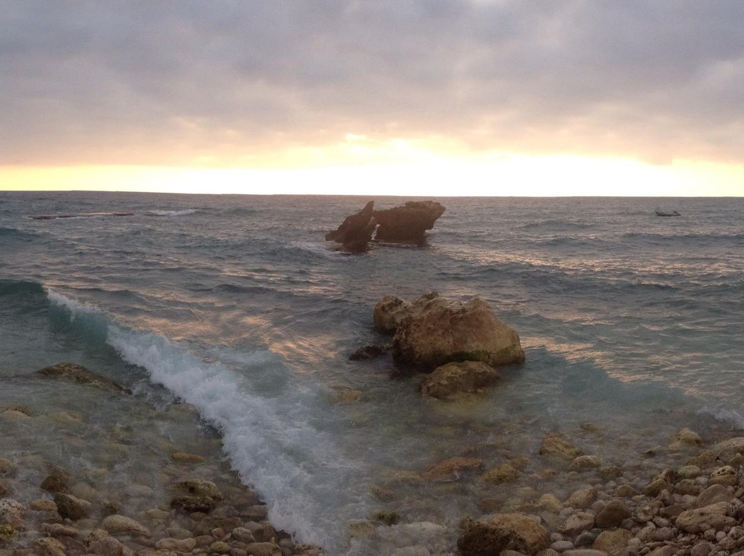 Pierre and Friends-Batroun必去景点