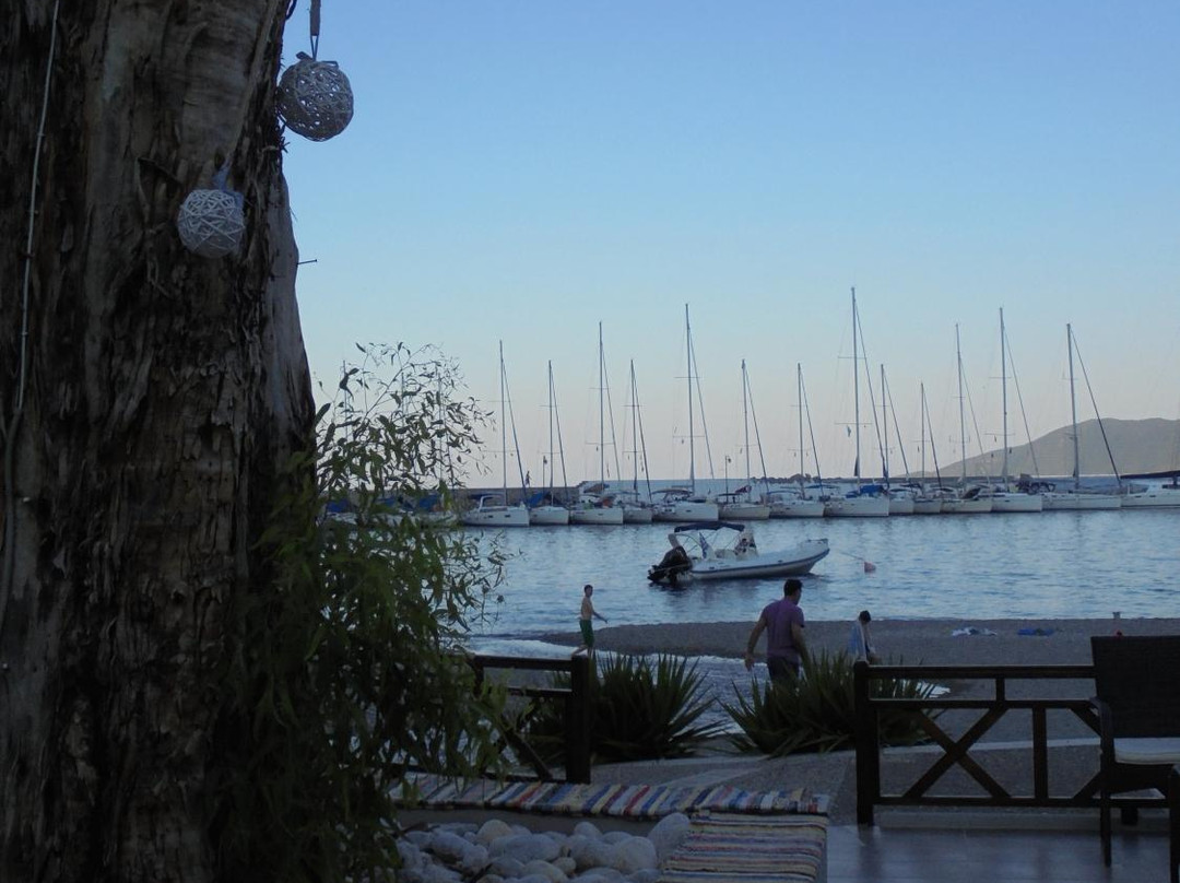 Eucalyptus Bar-Leonidio必去景点