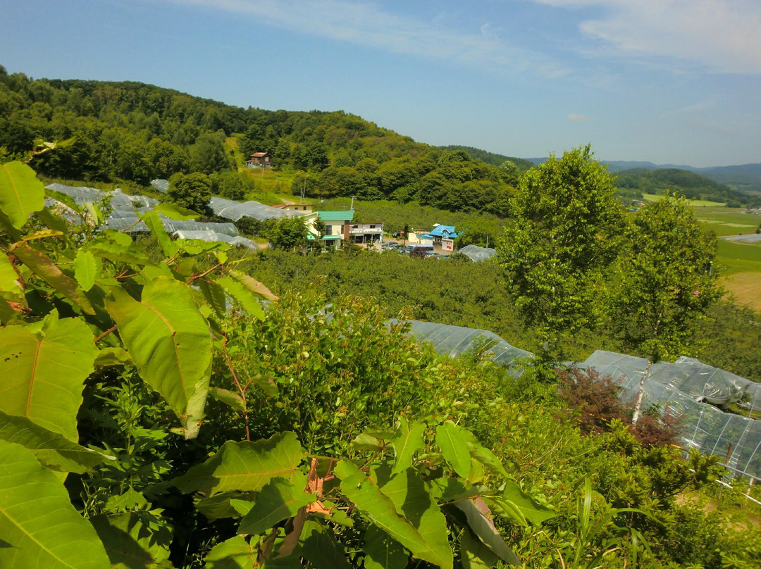 Miharashi Ogihara Fruit Garden