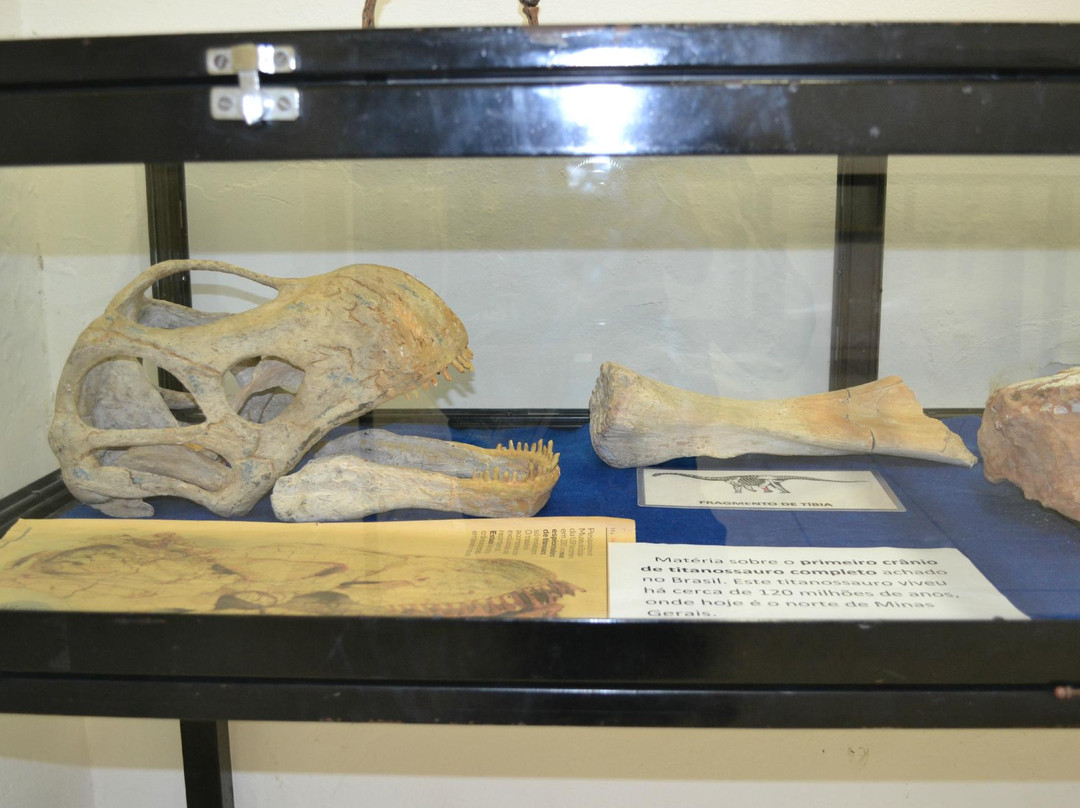 Paleontologia de Marilia Museum景点图片