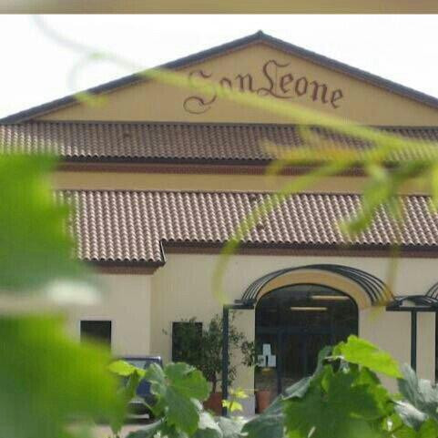 Seiterre Winery景点图片