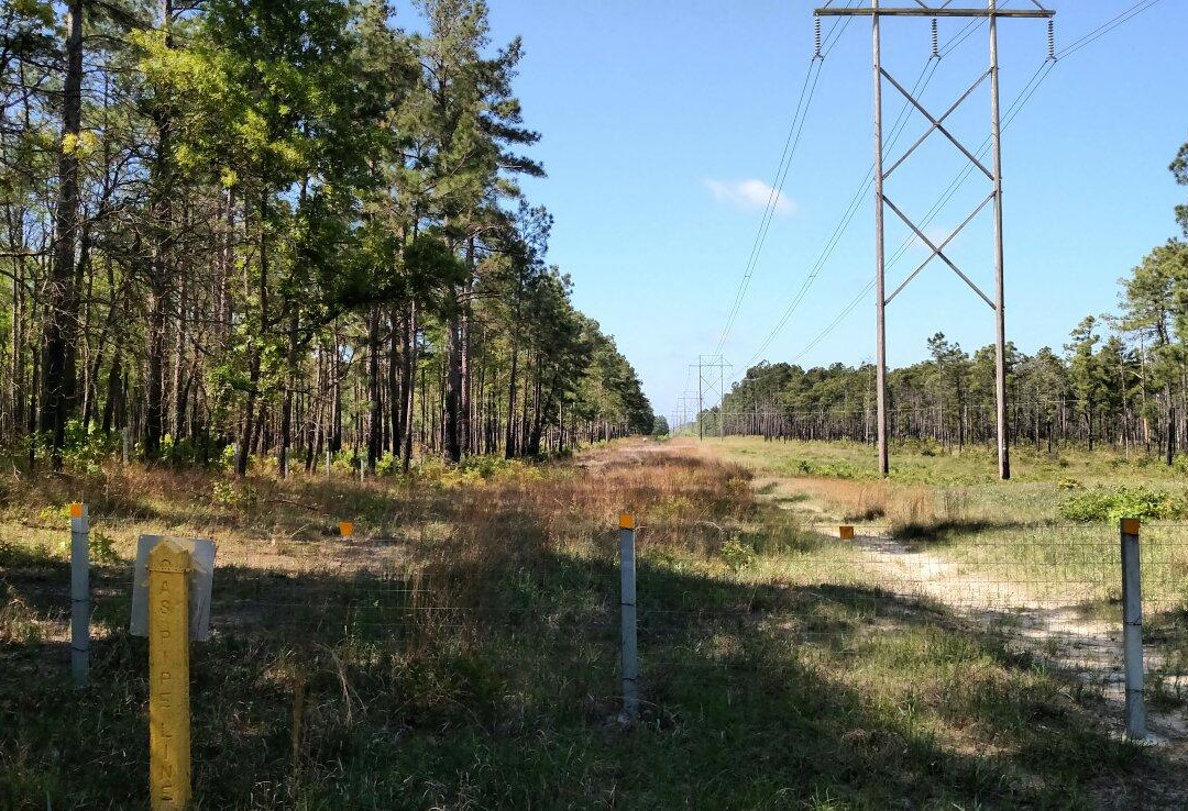 Wambaw Cycle Trail (North Loop)-Huger必去景点