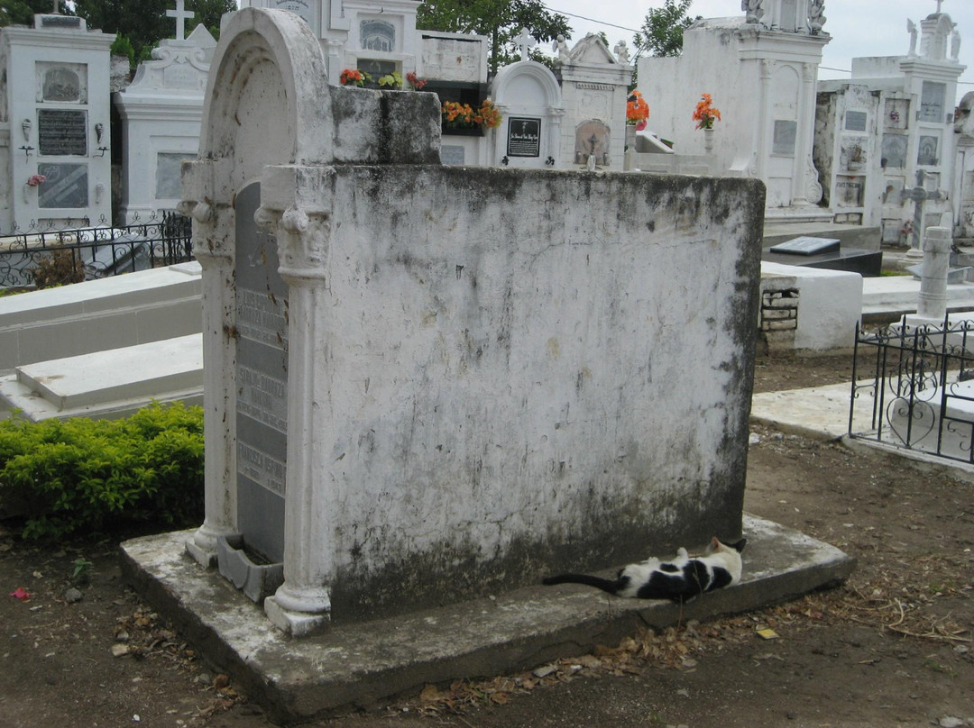 Chapel at the Graveyard-蒙波斯必去景点