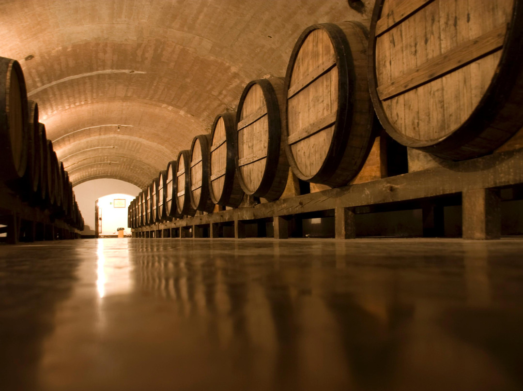 Carmelitano Bodegas y Destilerías景点图片