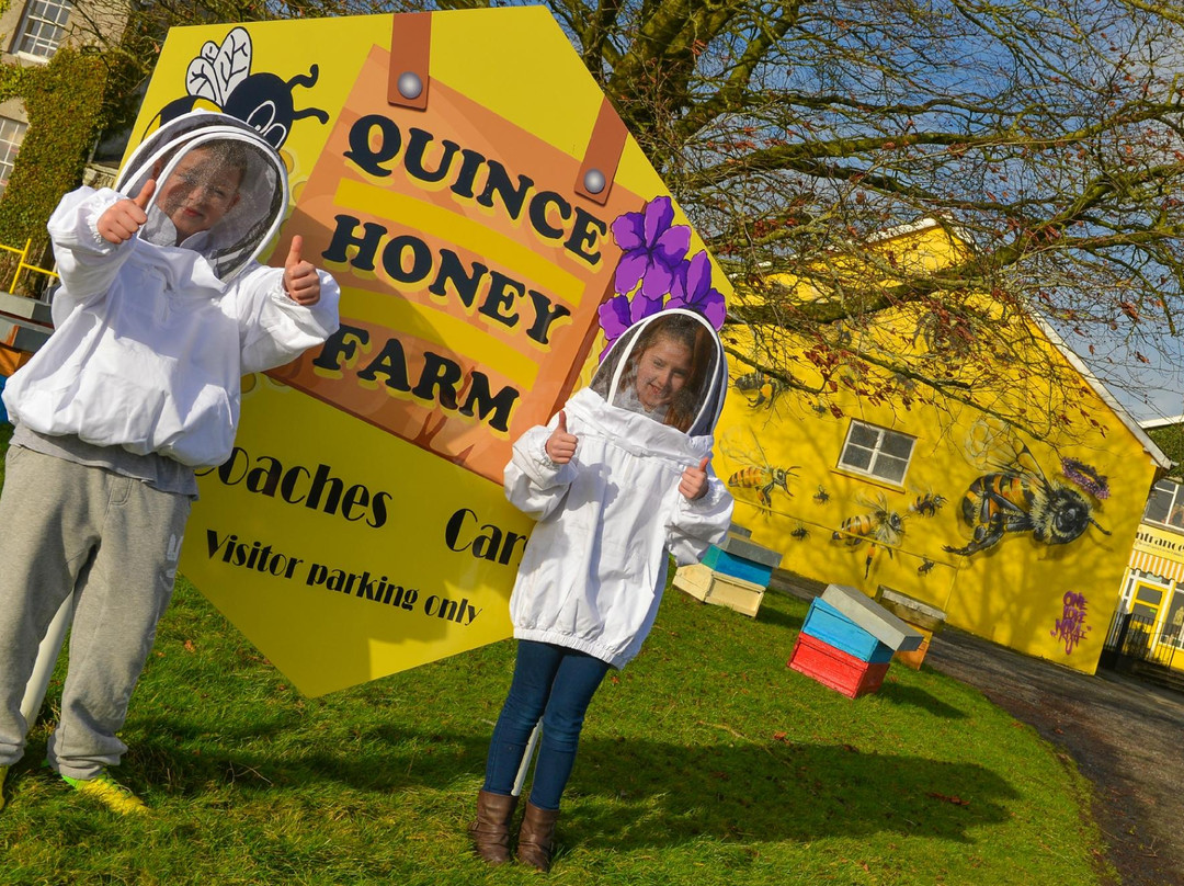 Quince Honey Farm-South Molton必去景点