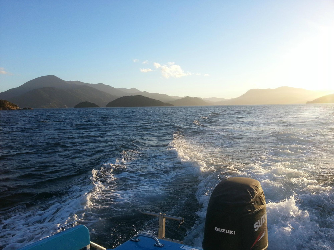 Waikawa Dive Centre景点图片