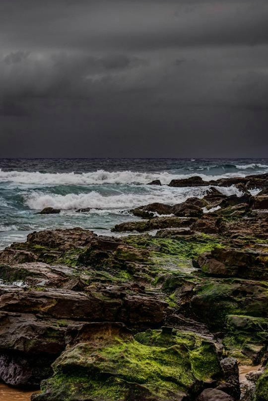 Warriewood Beach景点图片