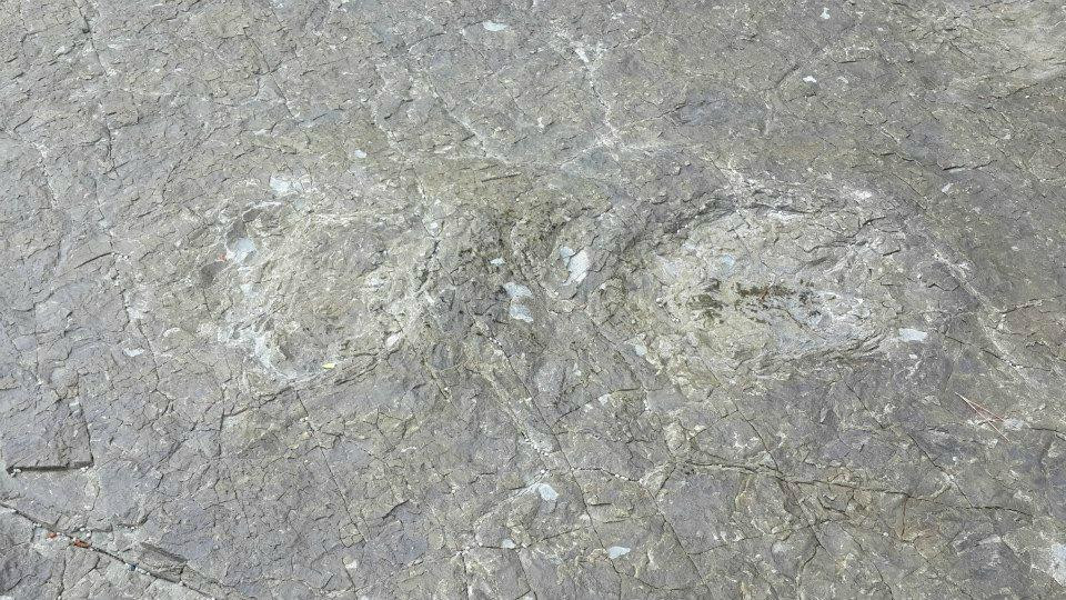 Goseong Dinosaur Museum-高城郡必去景点