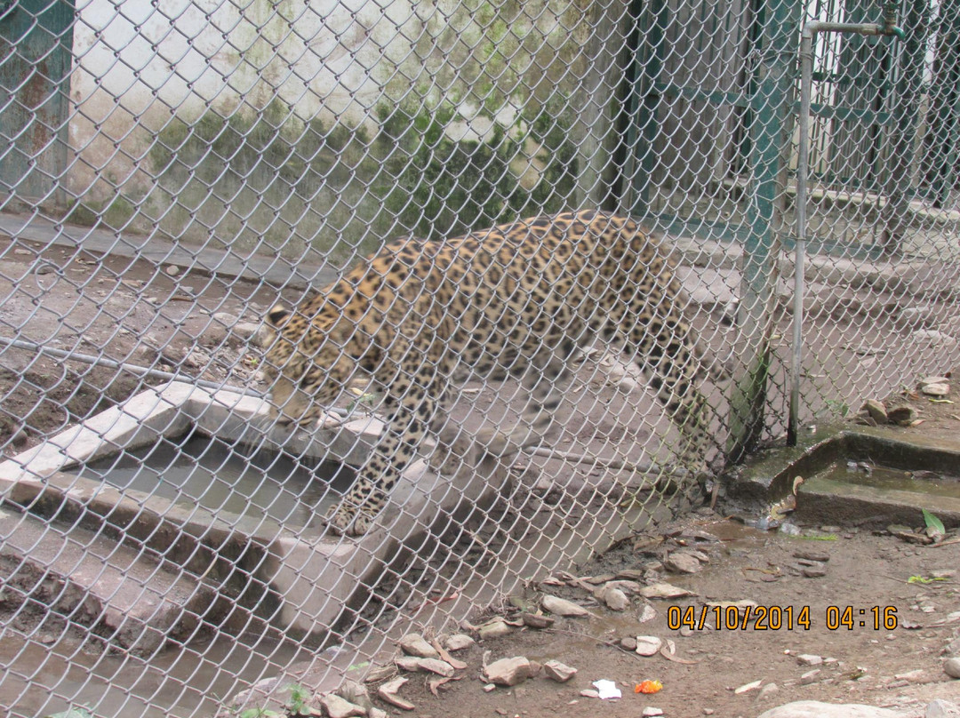 Renuka Wildlife Sanctuary景点图片