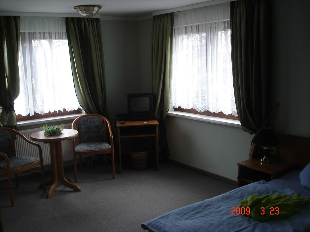 Schwanenteich Pension主图