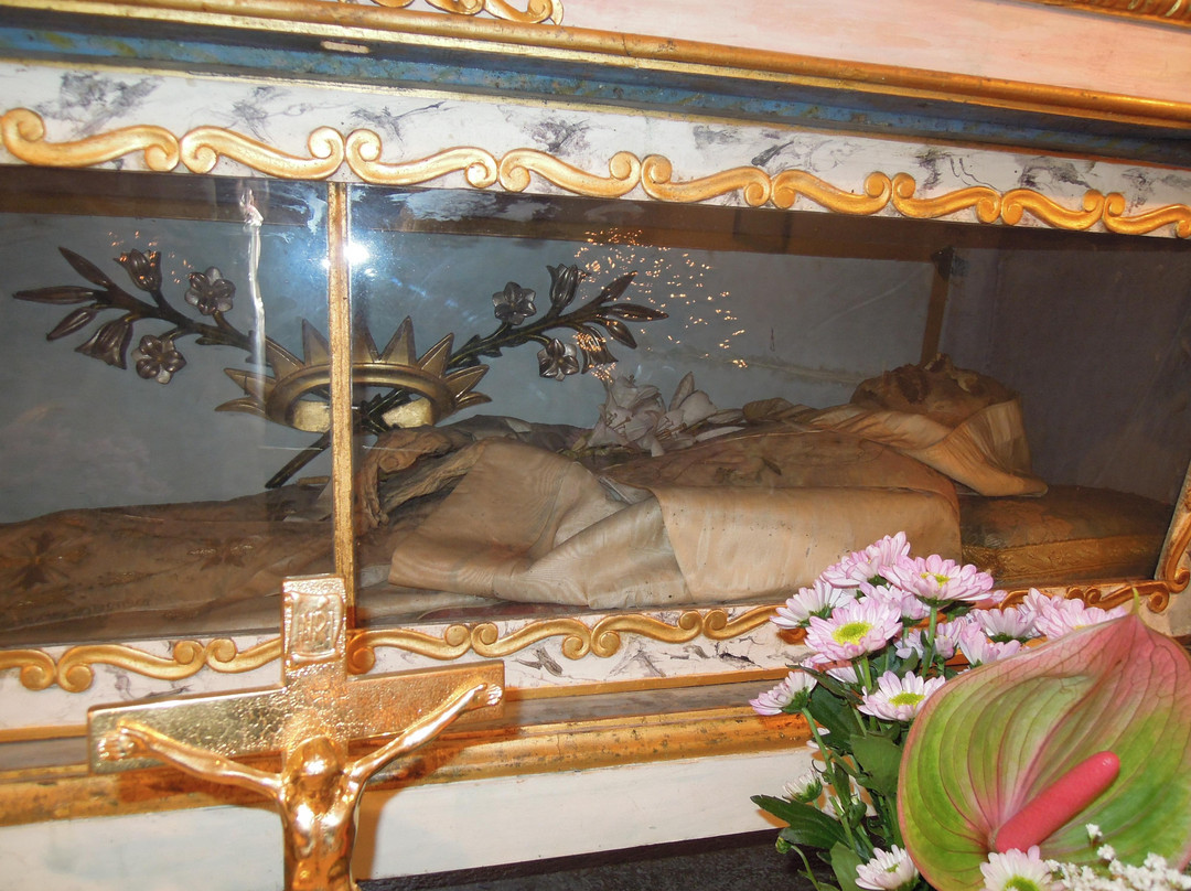 Santuario Beato Domenico Spadafora景点图片