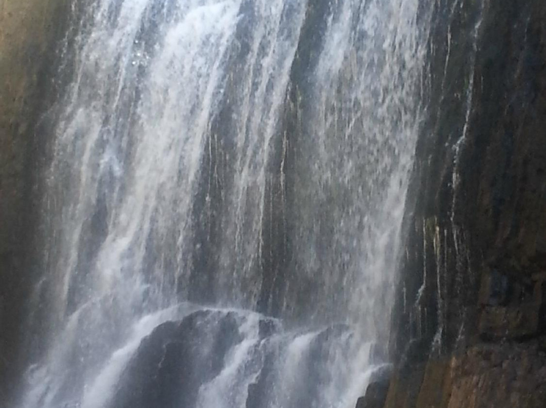 Guide Falls Reserve-伯尼必去景点